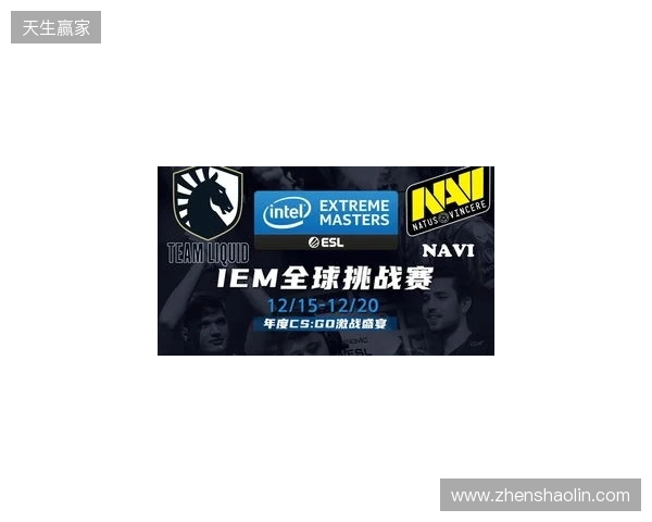 IEM克拉科夫2026：学院派的对决！NAVI 2-1 PV