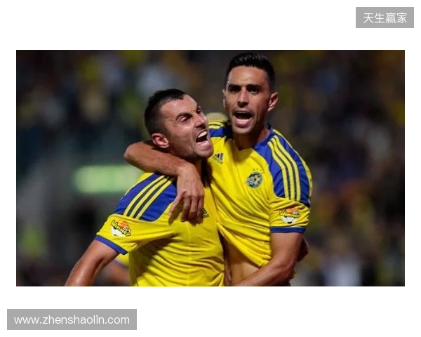 金冕加身王朝永铸！Vitality夺得PGL克卢日-纳波卡2026